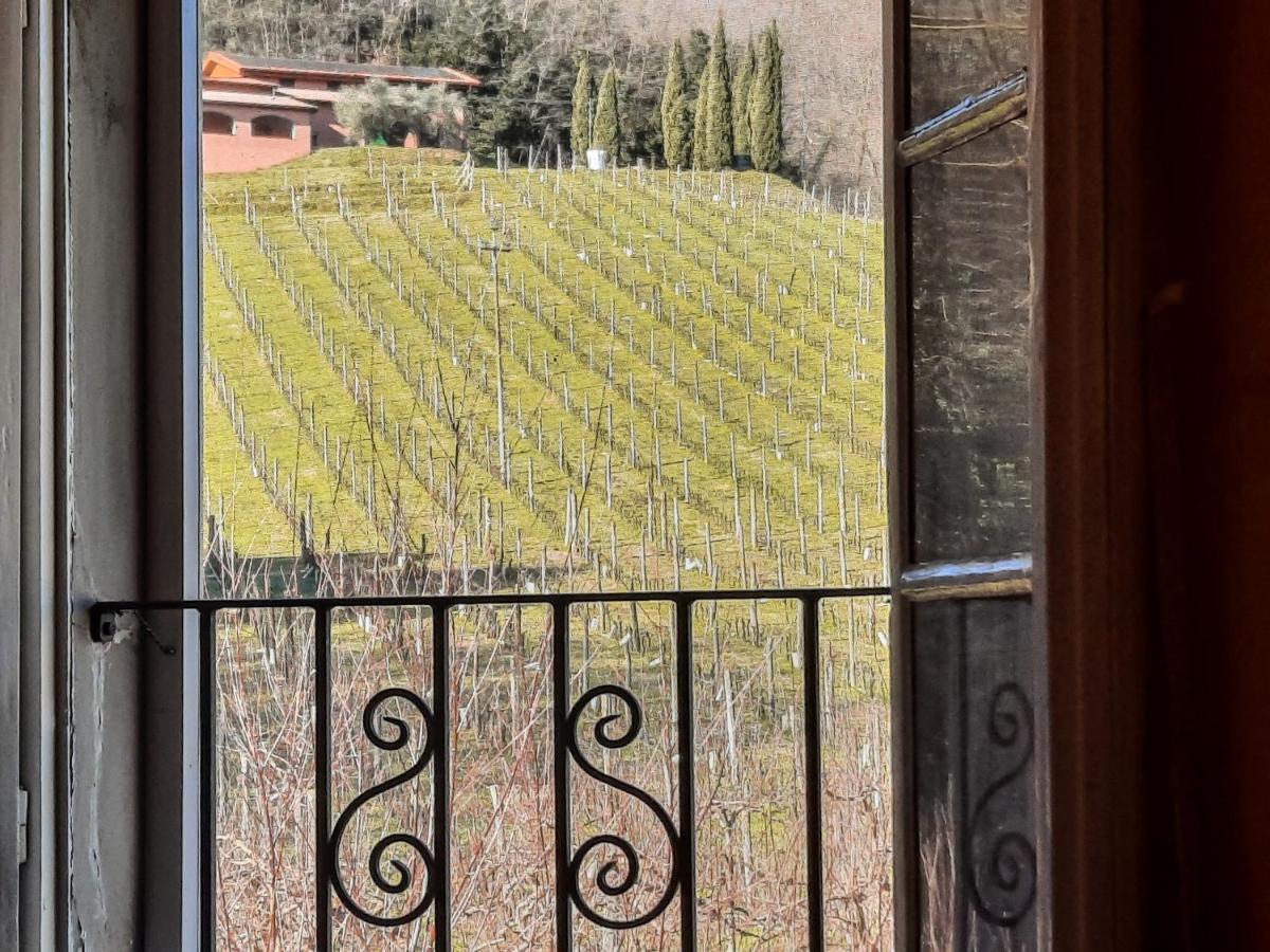 Agriturismo Tenuta Adamo 卢卡 外观 照片