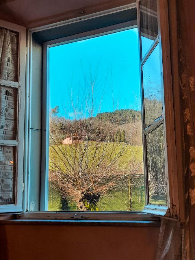Agriturismo Tenuta Adamo 卢卡 外观 照片