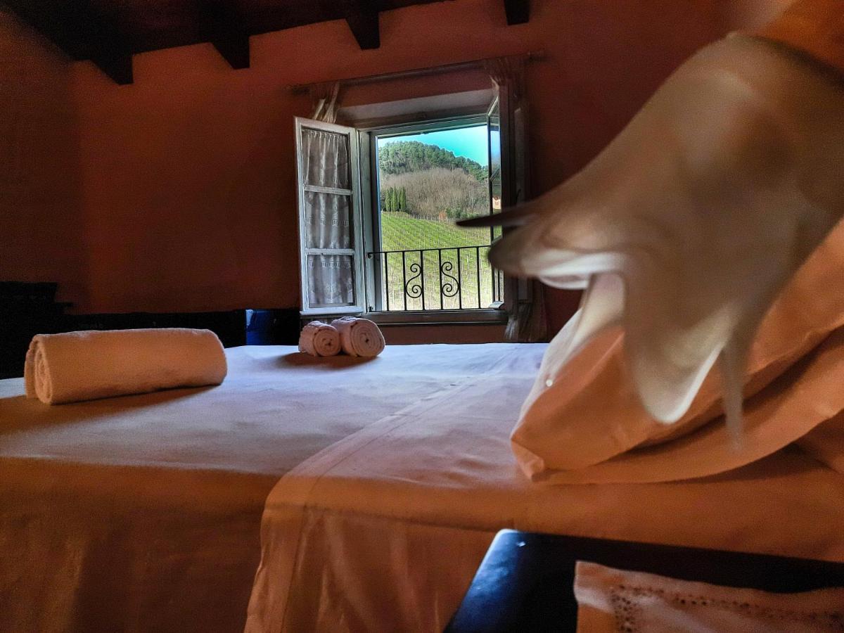 Agriturismo Tenuta Adamo 卢卡 外观 照片