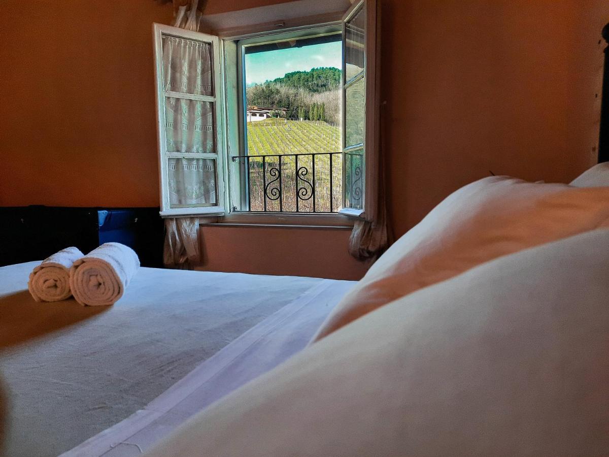 Agriturismo Tenuta Adamo 卢卡 外观 照片